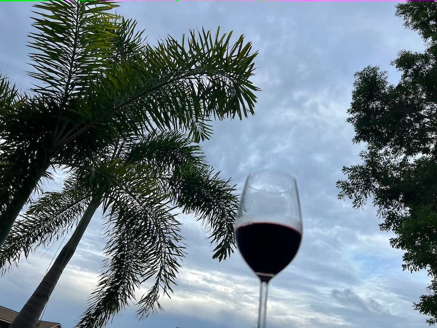 Picture of a wine glass with red wine, raised to a stormy stay with palm trees, Wines For Hurricane Season