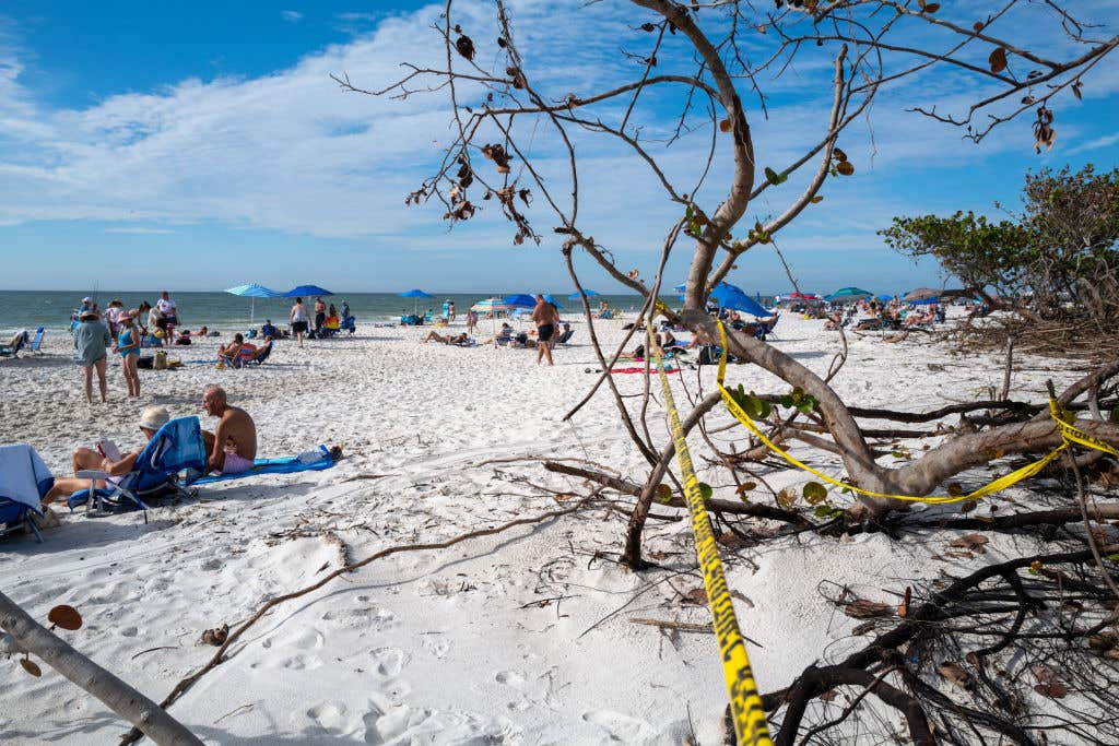 Collier County Plants 432,000 Plants in 13-Mile Coastal Restoration After Hurricane Ian