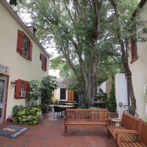 Downtown area with cozy benches and trees in between buildings