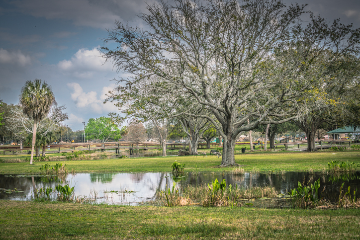 Leesburg Florida. One of the fastest growing city in Florida