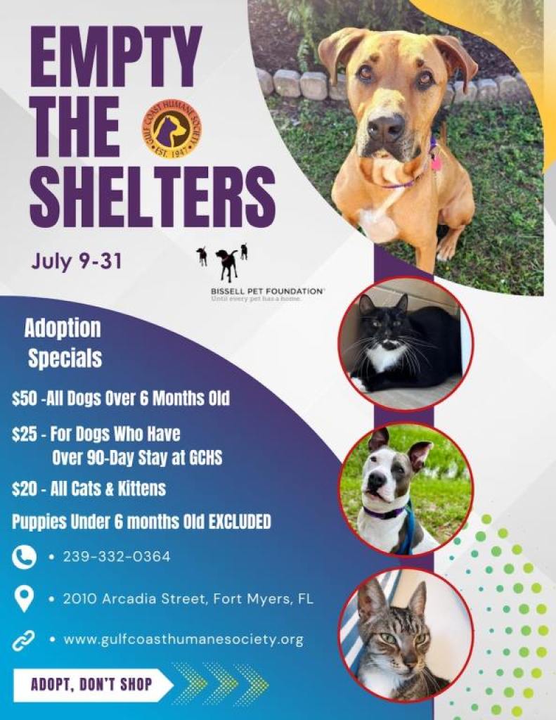 Event Flier on pet adoption