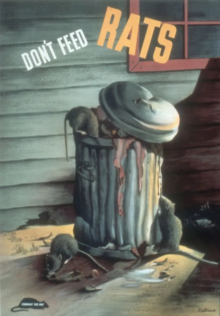 'Don't Feed Rats' Poster