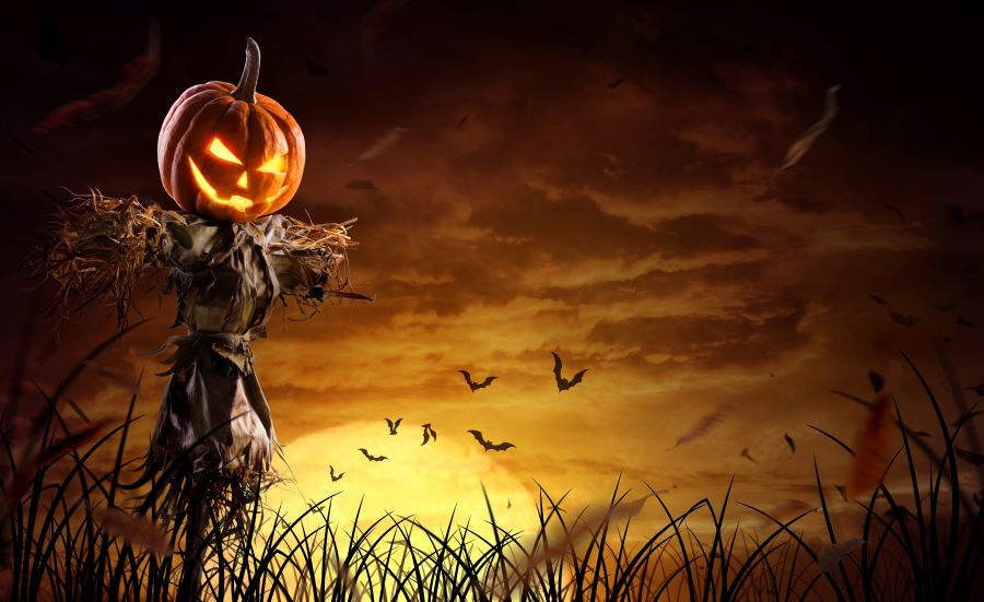 Scarecrow with menacing pumpkin head in a field with a dark sunset and birds flying for fall festivals in Southwest Florida